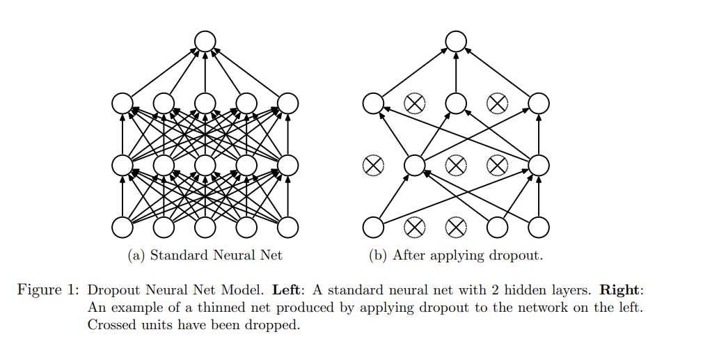 Standard vs Dropout